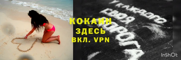 шишки Строитель