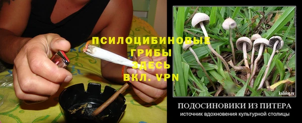 гидра Сосновый Бор