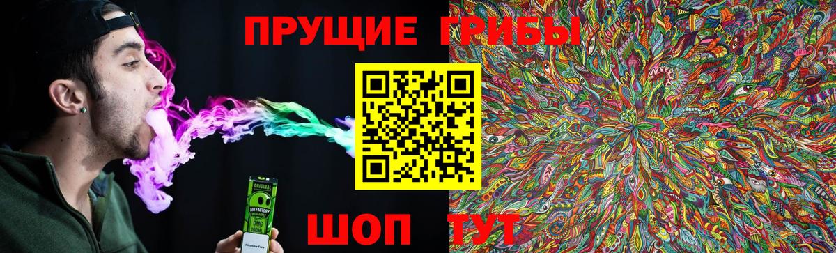 Галлюциногенные грибы Psilocybine cubensis Чусовой