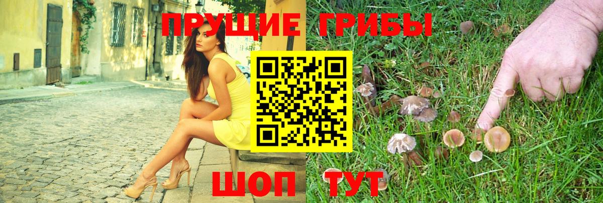 Псилоцибиновые грибы MAGIC MUSHROOMS  Вход с VPN  Чусовой  Псилоцибиновые грибы мухоморы 