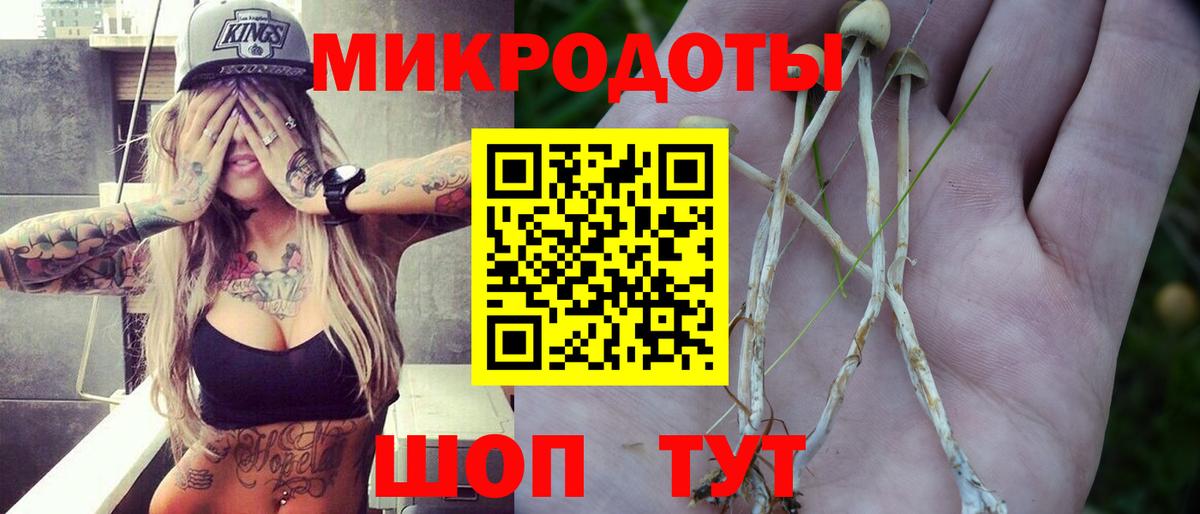 Псилоцибиновые грибы MAGIC MUSHROOMS Чусовой