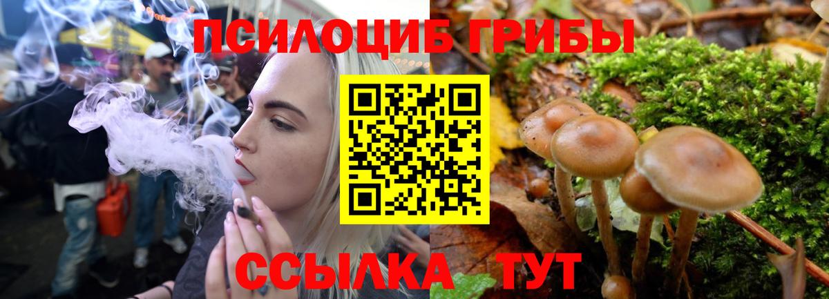 Галлюциногенные грибы мицелий  Чусовой 